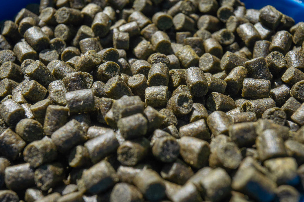 Sonubaits Marine Green Feed Pellets 900g